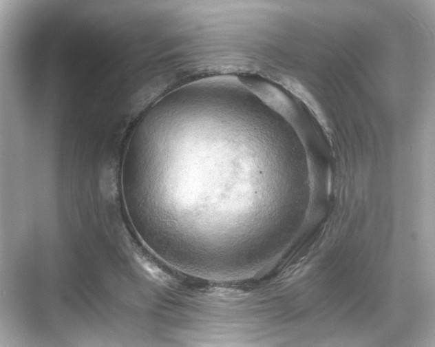 X0000068850393200605051218