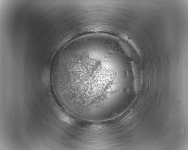 X0000068850394200605051218