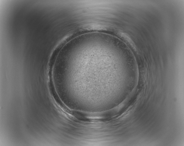 X0000068850395200605051218