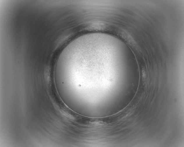 X0000068850396200605051218