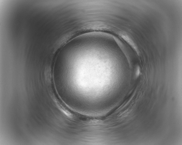 X0000068850397200605051218