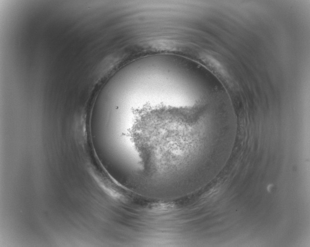 X0000068850398200605051218