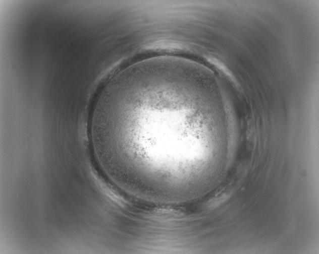 X0000068850399200605051218