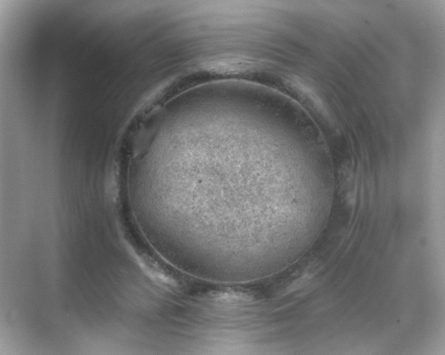 X0000068850400200605051218