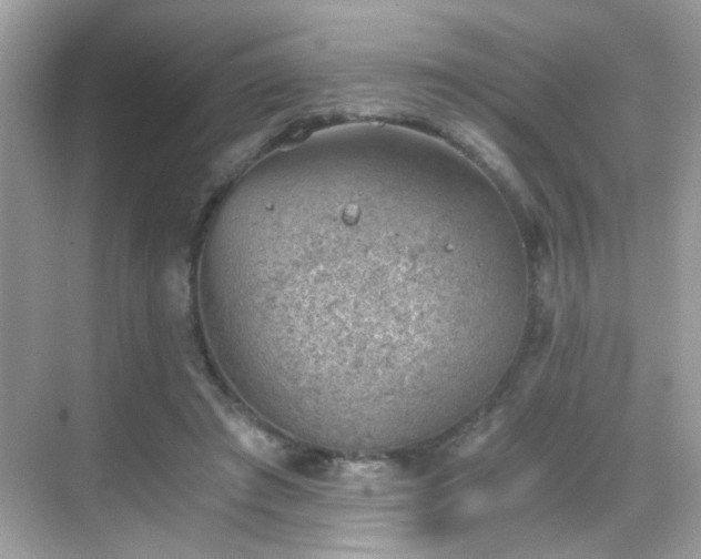 X0000068850401200605051218