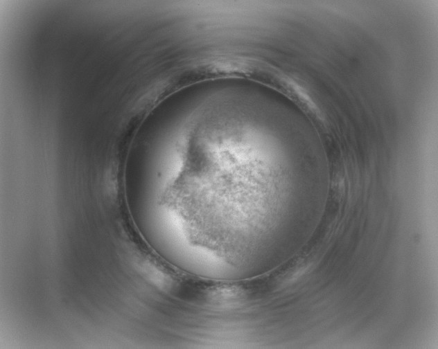 X0000068850402200605051218