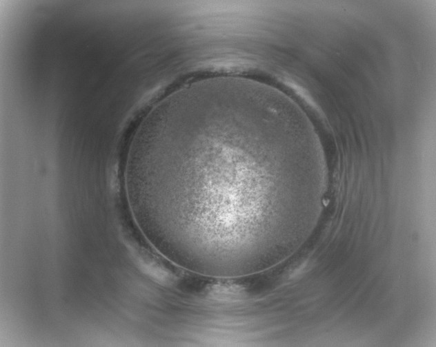 X0000068850403200605051218