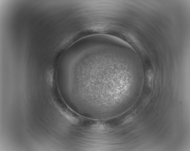 X0000068850404200605051218