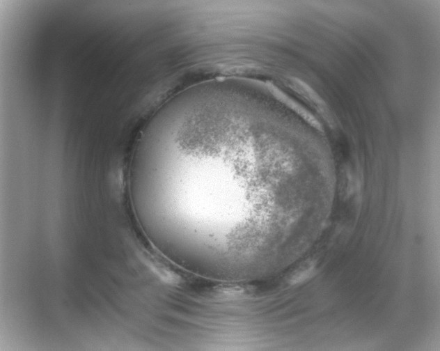 X0000068850405200605051218