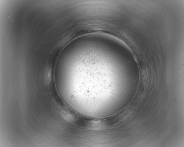 X0000068850406200605051218