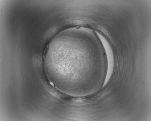 X0000068850407200605051218