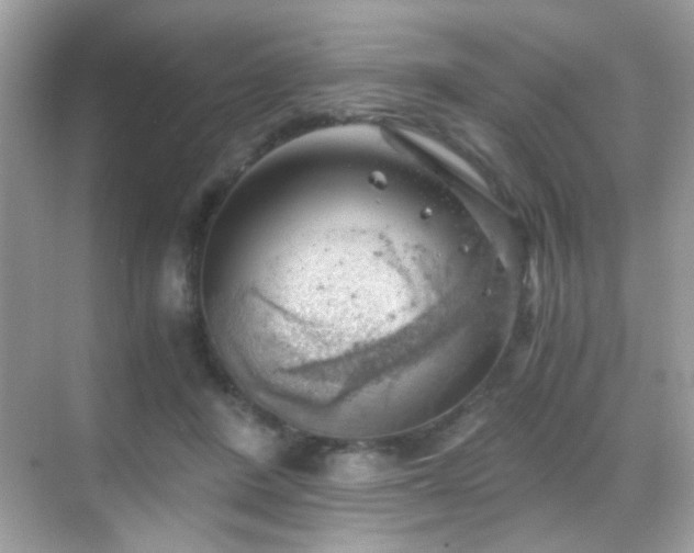 X0000068850408200605051218