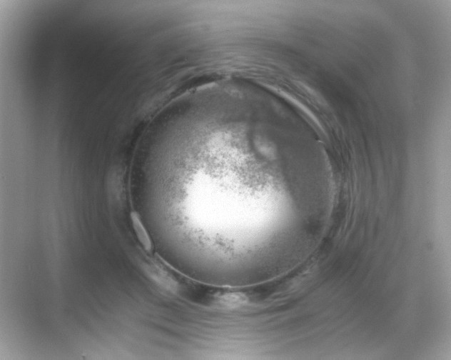 X0000068850409200605051218