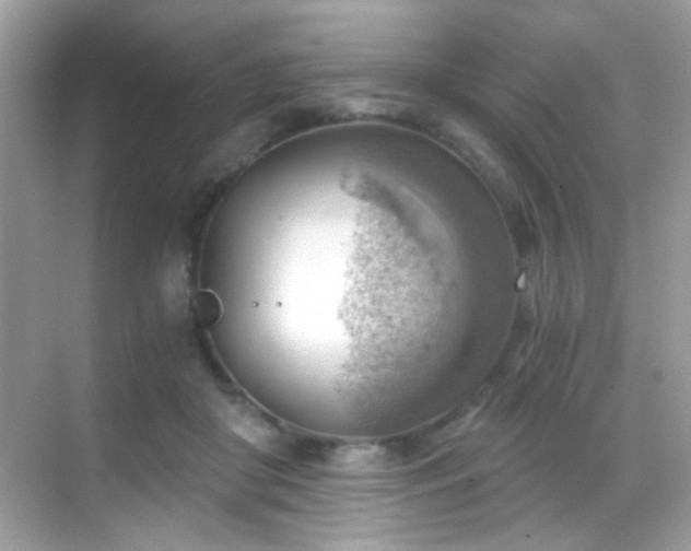 X0000068850410200605051218