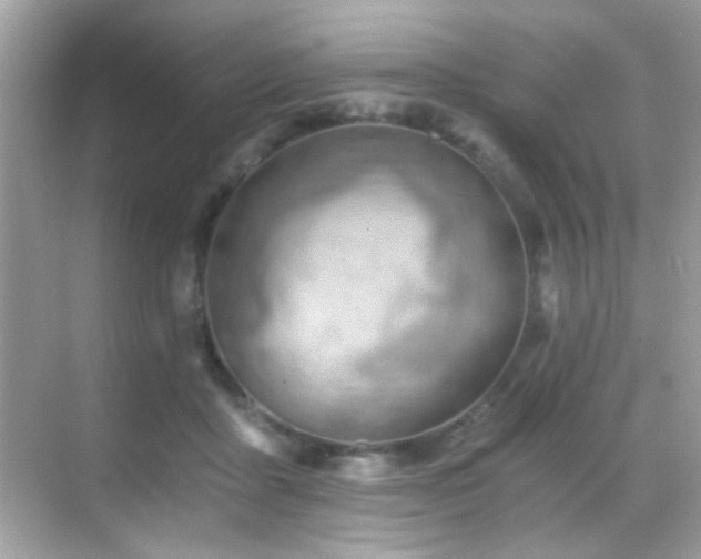 X0000068850411200605051218