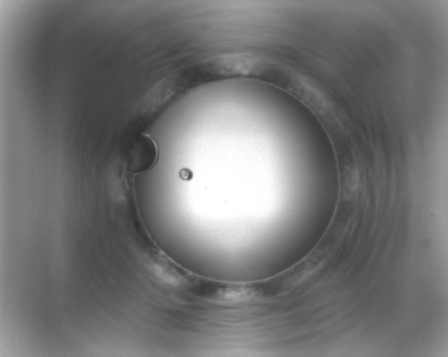 X0000068850414200605051218