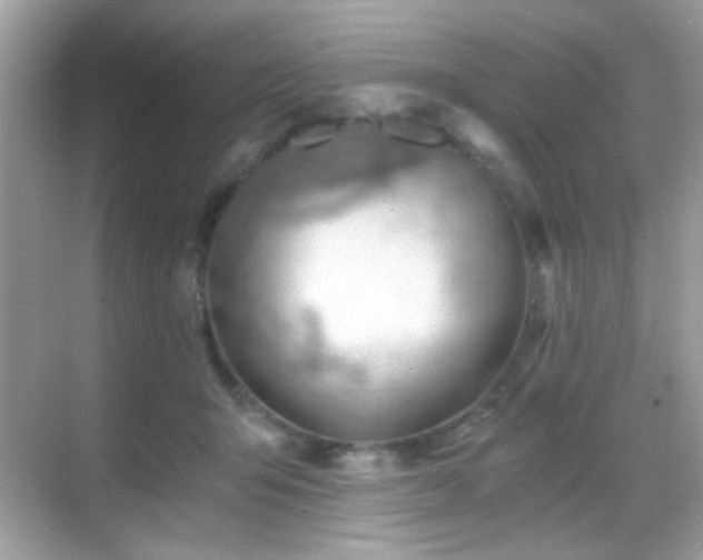 X0000068850415200605051218