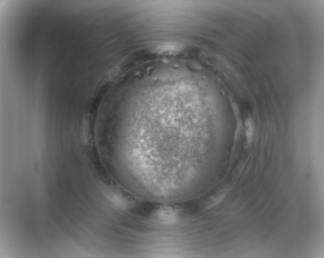 X0000068850416200605051218