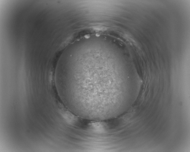 X0000068850417200605051218