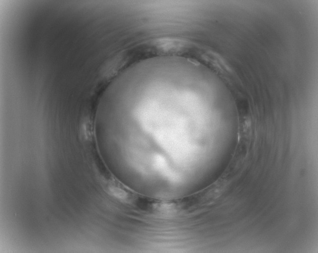 X0000068850419200605051218