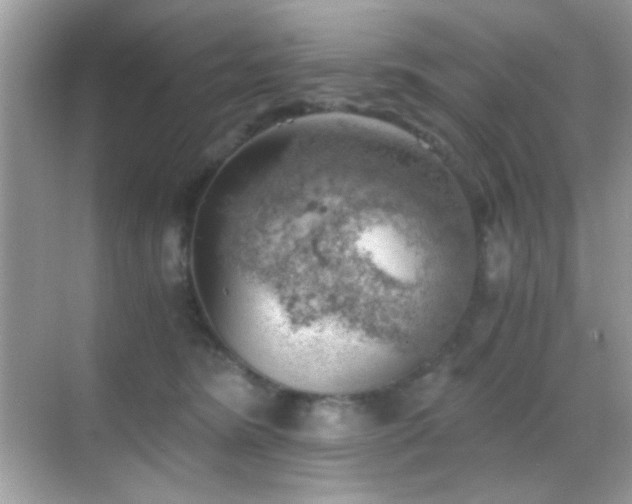 X0000068850420200605051218