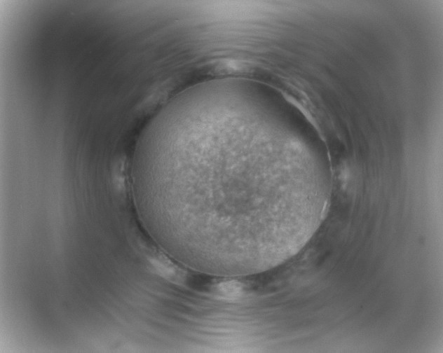 X0000068850423200605051217