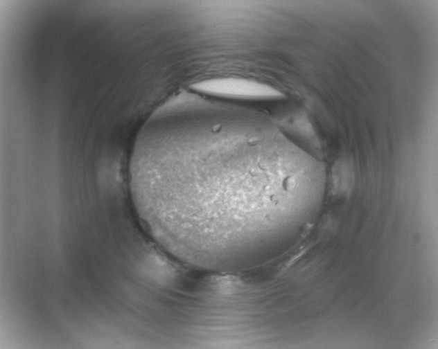 X0000068850424200605051217