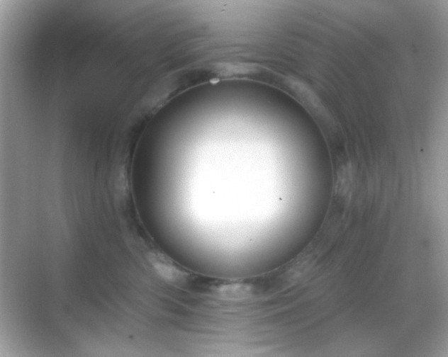 X0000068850426200605051217