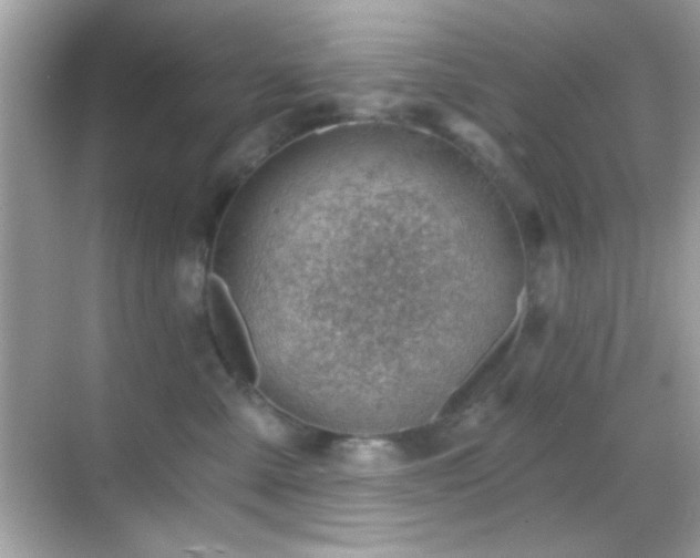 X0000068850427200605051217