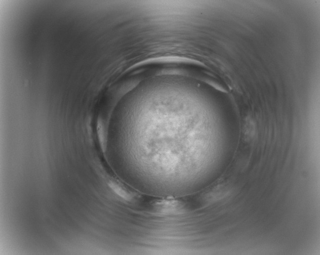 X0000068850428200605051217