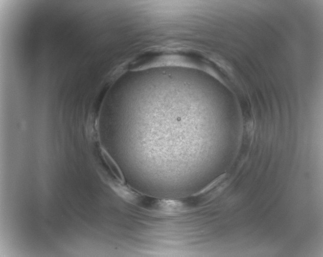 X0000068850429200605051217