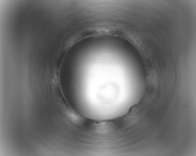 X0000068850430200605051217