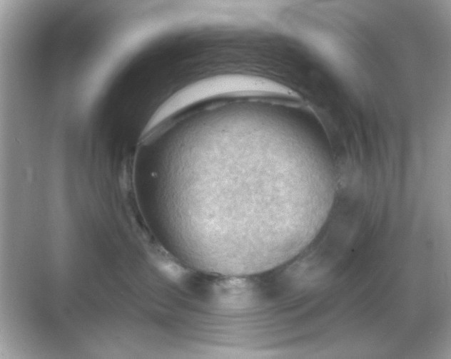 X0000068850431200605051217