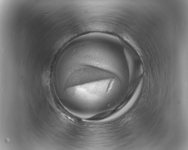 X0000068850434200605051217