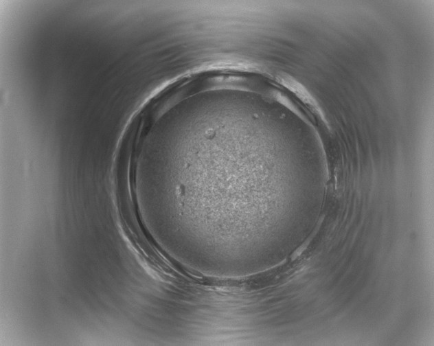 X0000068850436200605051217