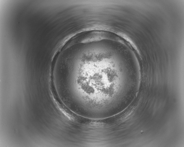 X0000068850437200605051217