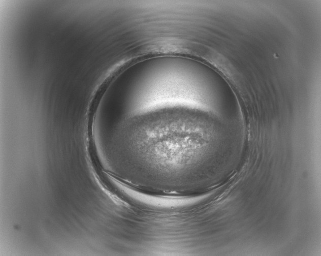 X0000068850438200605051217