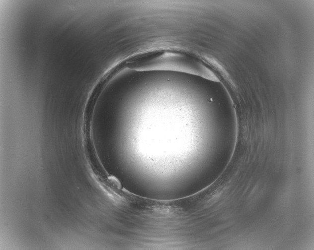 X0000068850439200605051217