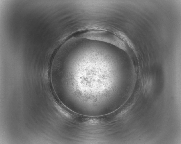 X0000068850441200605051217