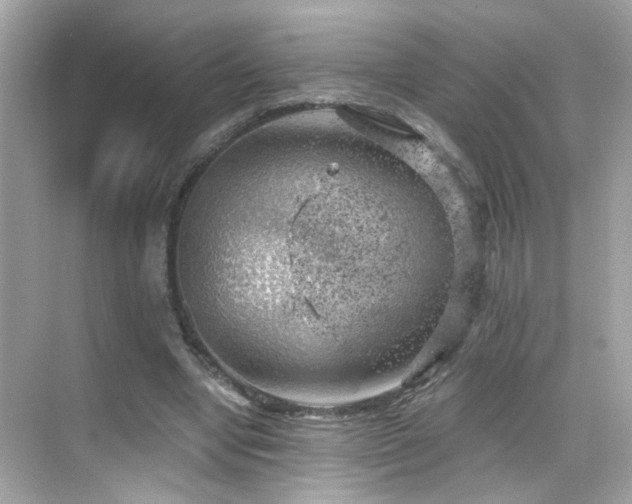 X0000068850442200605051217