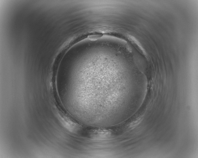 X0000068850443200605051217