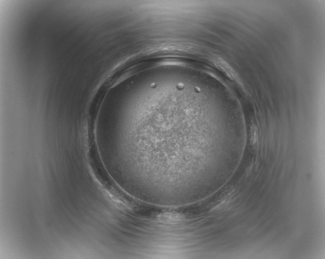 X0000068850444200605051217