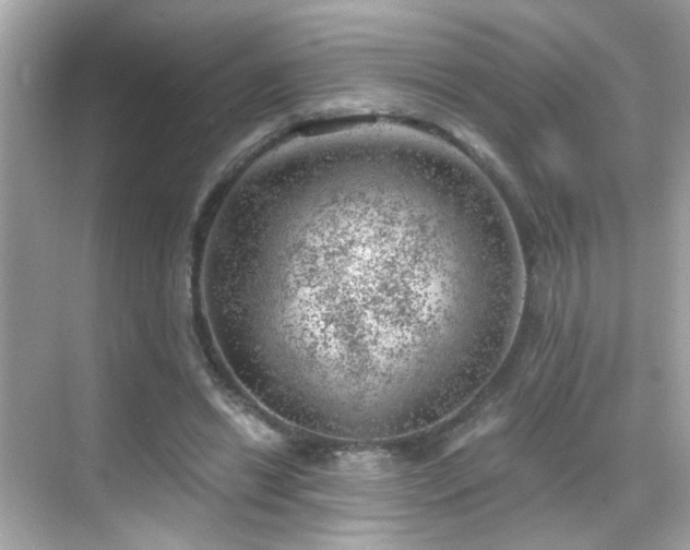 X0000068850446200605051217