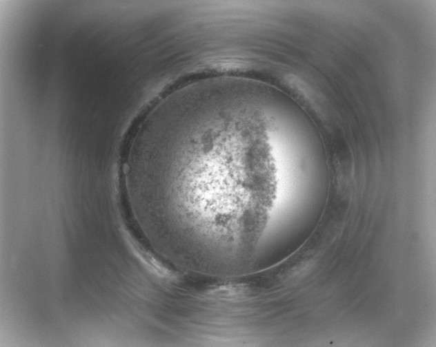 X0000068850447200605051217