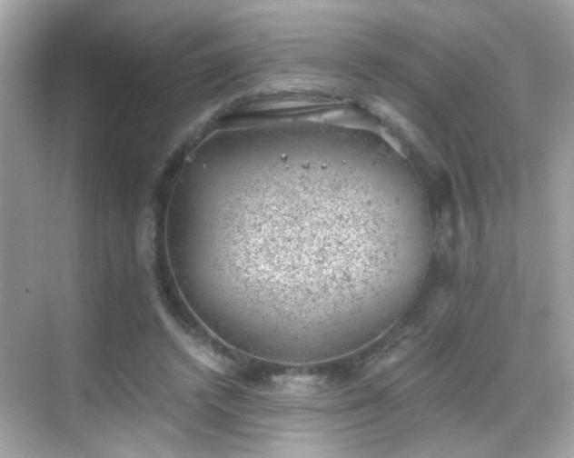 X0000068850448200605051217