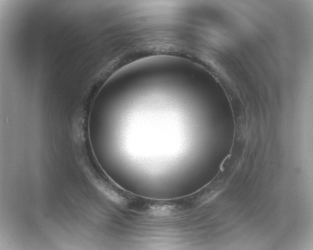 X0000068850450200605051217