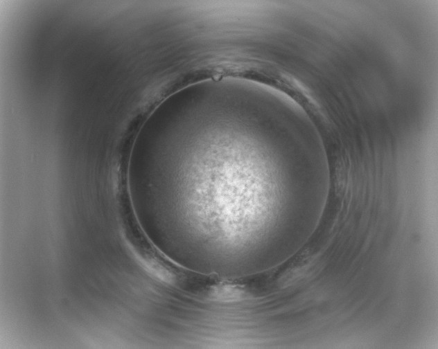 X0000068850451200605051217