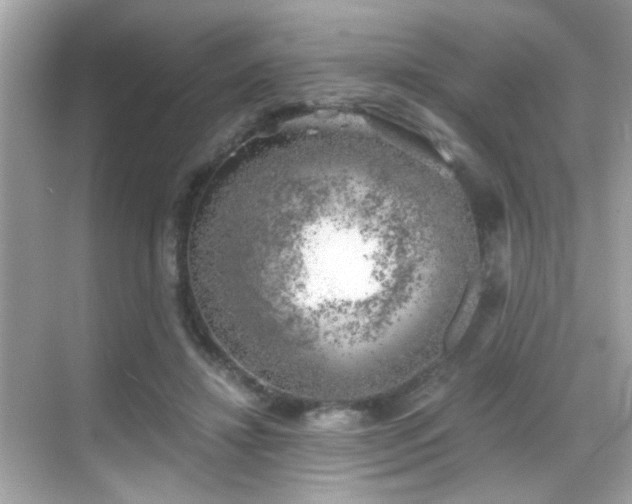 X0000068850452200605051217