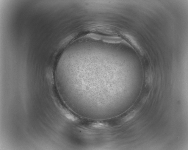 X0000068850453200605051217