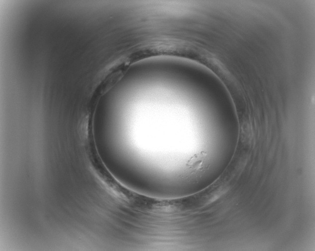 X0000068850454200605051217